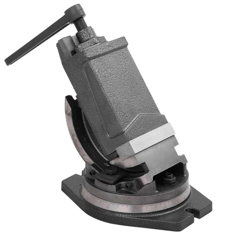 Load image into Gallery viewer, Vidaxl bankschroef met 2 assen kantelbaar 100 mm
