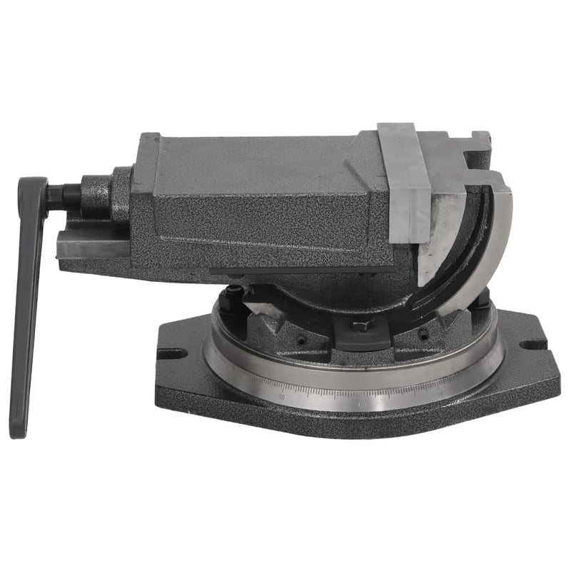 Load image into Gallery viewer, VidaXL Bankschroef met 2 assen kantelbaar 160 mm
