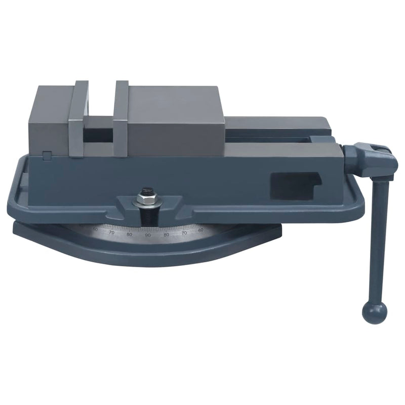 Load image into Gallery viewer, Vidaxl bankschroef draaibaar 160 mm gietijzer