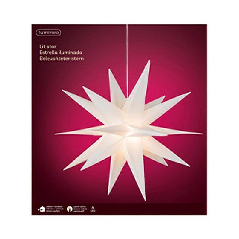 Chargez l'image dans la visionneuse de la galerie, Lumineo Lumineo Kerstster PVC Steady Wit 6 LEDs Binnen Buiten 60 cm