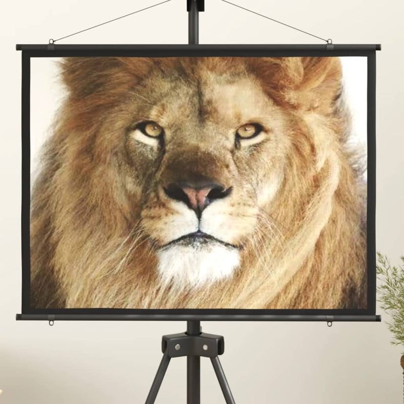 Load image into Gallery viewer, VidaXL Projectiescherm 4:3 50''