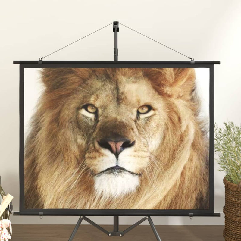 Load image into Gallery viewer, VidaXL Projectiescherm 4:3 60''