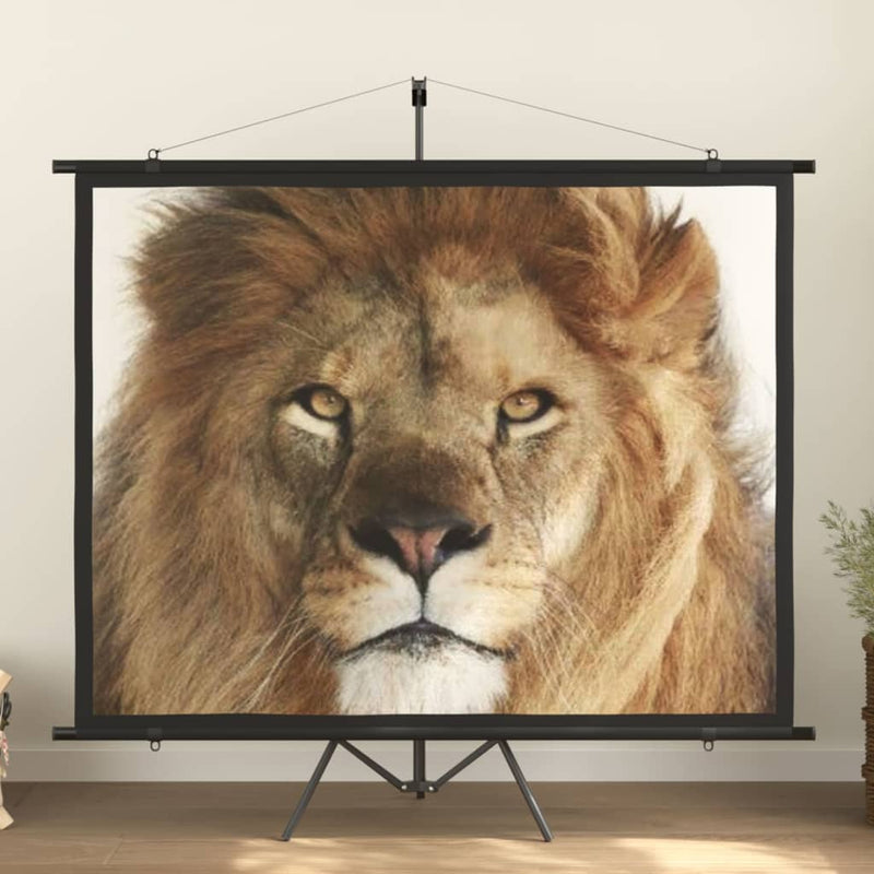 Load image into Gallery viewer, VidaXL Projectiescherm 4:3 100''