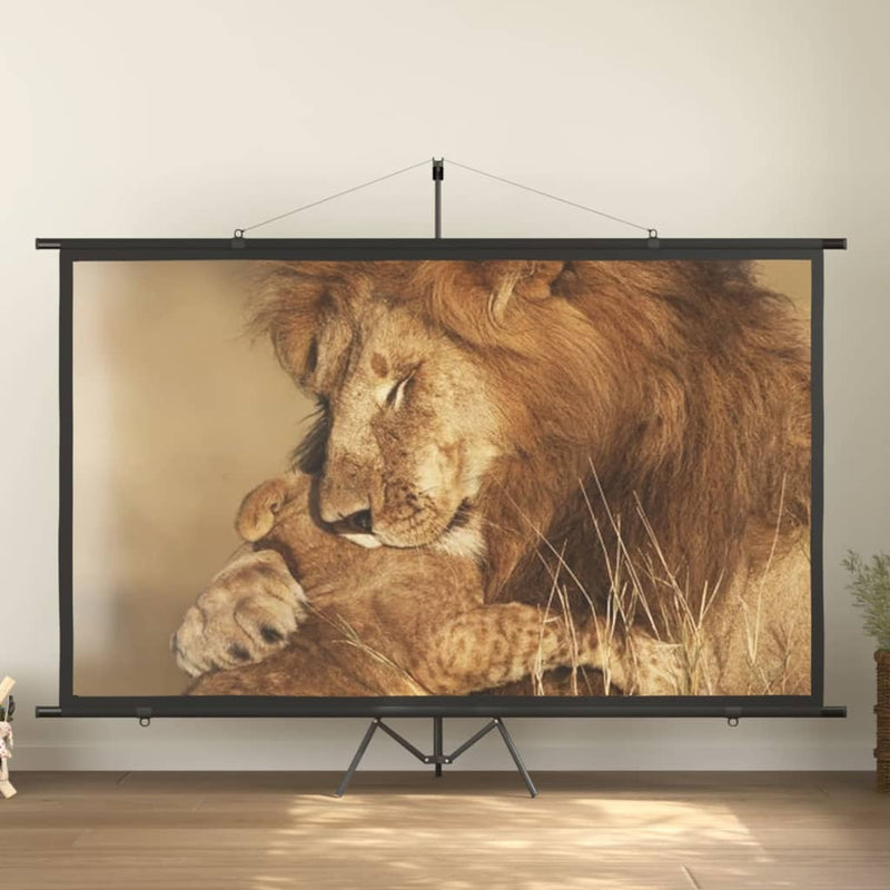 Load image into Gallery viewer, VidaXL Projectiescherm 16:9 120''