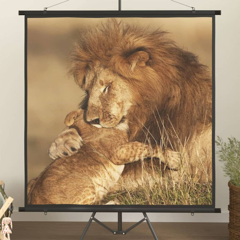 Load image into Gallery viewer, VidaXL Projectiescherm 1:1 81''