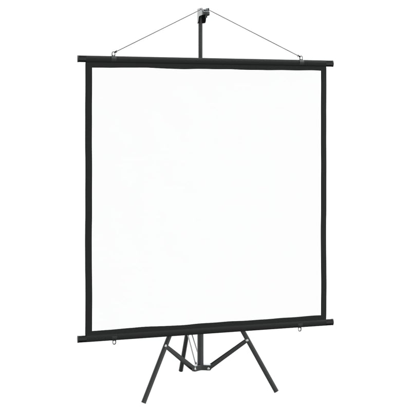 Load image into Gallery viewer, VidaXL Projectiescherm met statief 1:1 67''