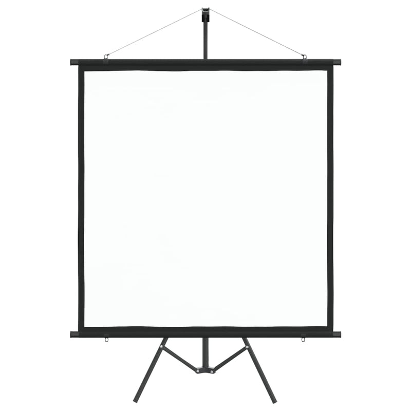 Load image into Gallery viewer, VidaXL Projectiescherm met statief 1:1 67''
