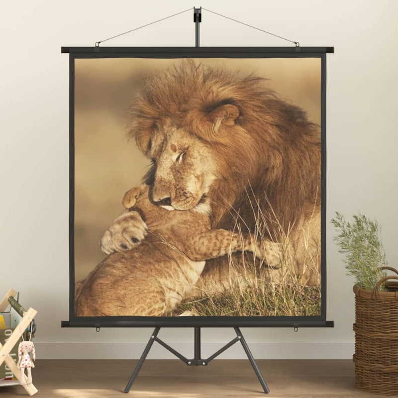 Load image into Gallery viewer, VidaXL Projectiescherm met statief 1:1 67''