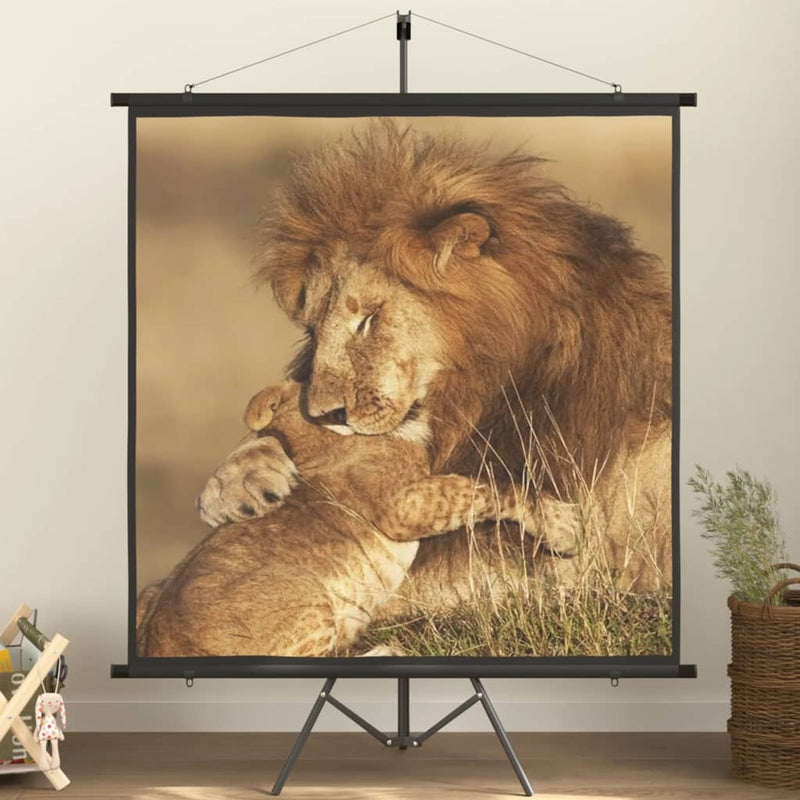 Load image into Gallery viewer, VidaXL Projectiescherm met statief 1:1 89''