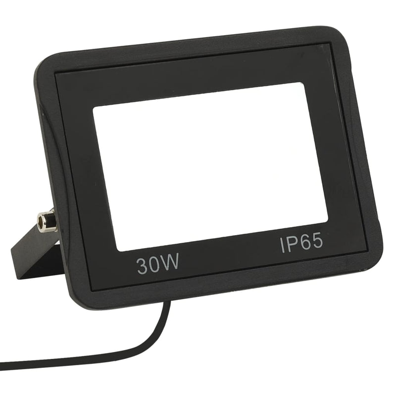 Load image into Gallery viewer, Vidaxl spotlight led 30 w koudwit