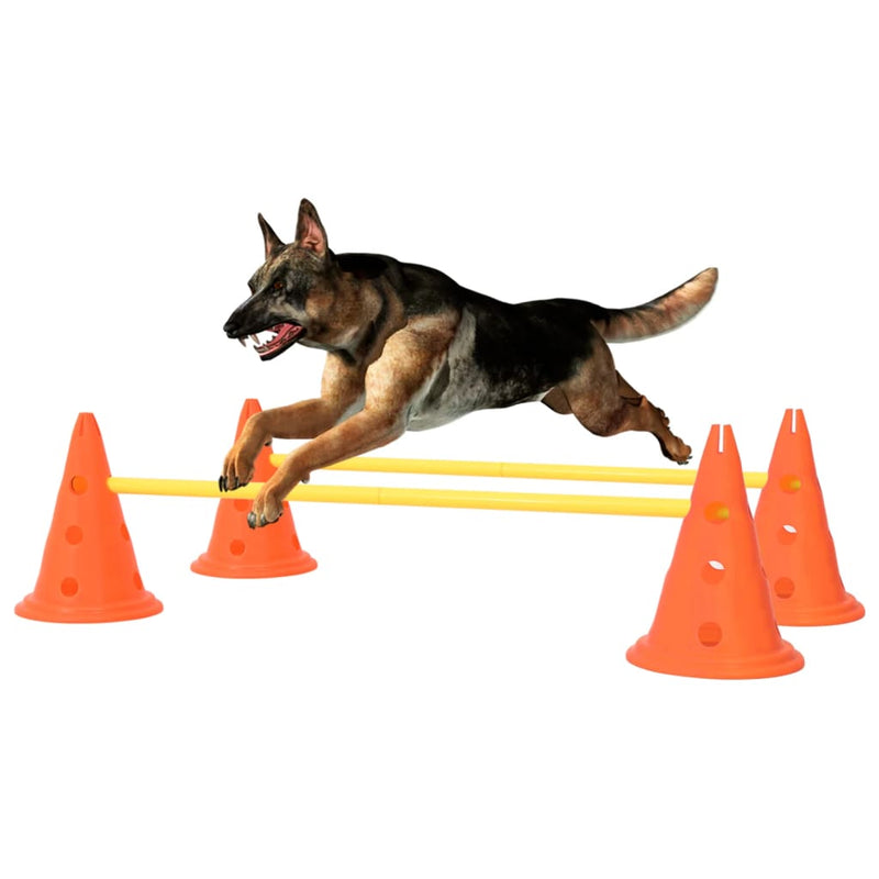 Load image into Gallery viewer, Vidaxl hindernissenset voor honden oranje en geel