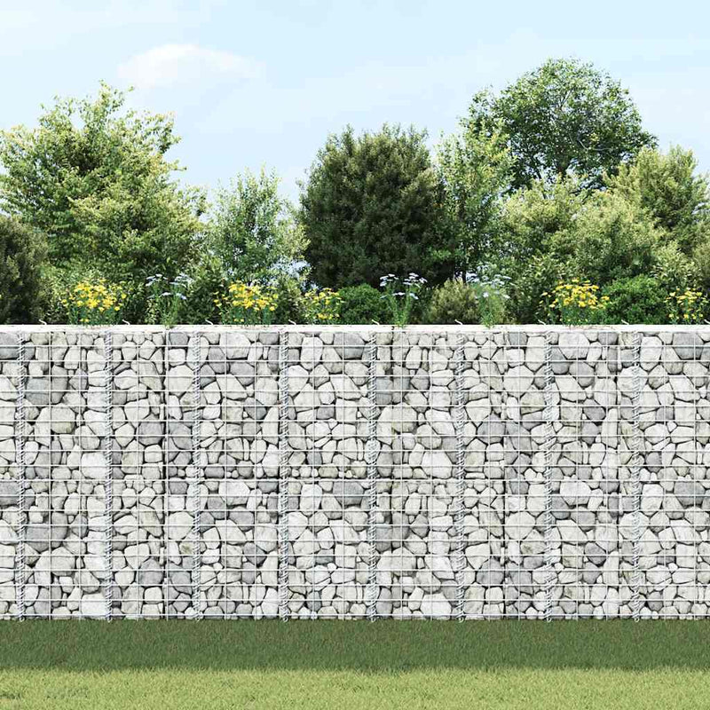 Afbeelding laden in galerijviewer, Vidaxl schanskorf plantenbakken 3 st verhoogd 30x30x100 cm ijzer