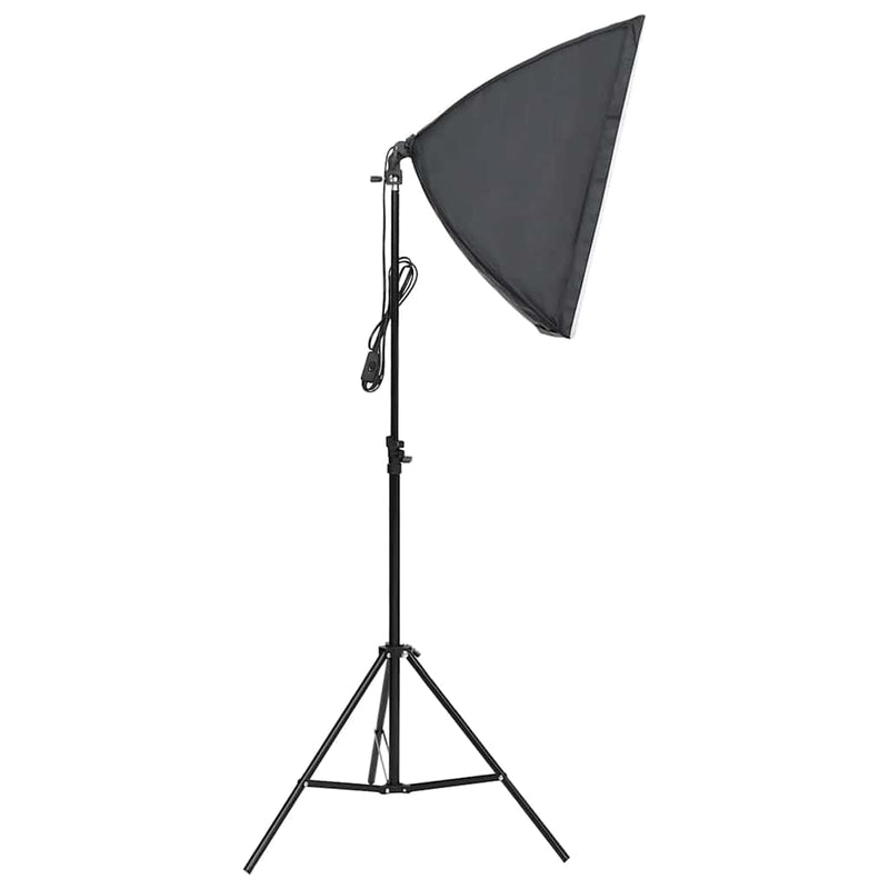 Load image into Gallery viewer, Vidaxl studiolampen 2 st professioneel 40x60 cm