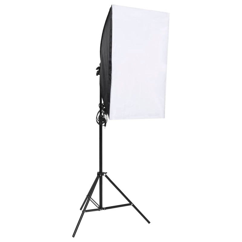 Load image into Gallery viewer, VidaXL 6-delige Fotostudioset met verlichtingsset en softboxen