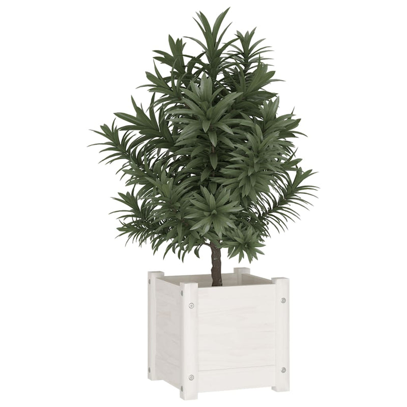 Load image into Gallery viewer, Vidaxl plantenbak 31x31x31 cm massief grenenhout wit