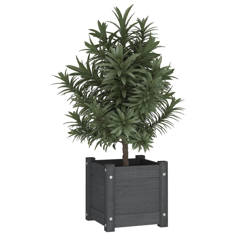 Load image into Gallery viewer, Vidaxl plantenbak 31x31x31 cm massief grenenhout grijs