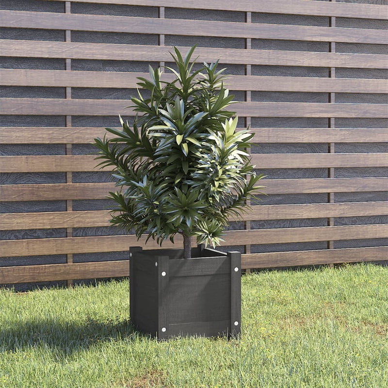 Load image into Gallery viewer, Vidaxl plantenbak 31x31x31 cm massief grenenhout grijs