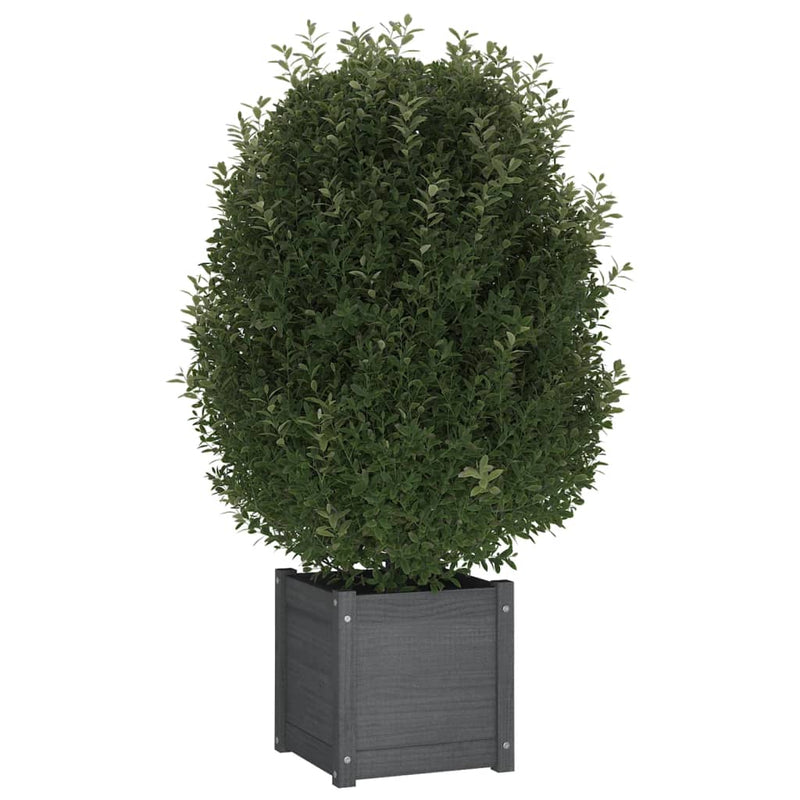 Load image into Gallery viewer, Vidaxl plantenbakken 2 st 40x40x40 cm massief grenenhout grijs