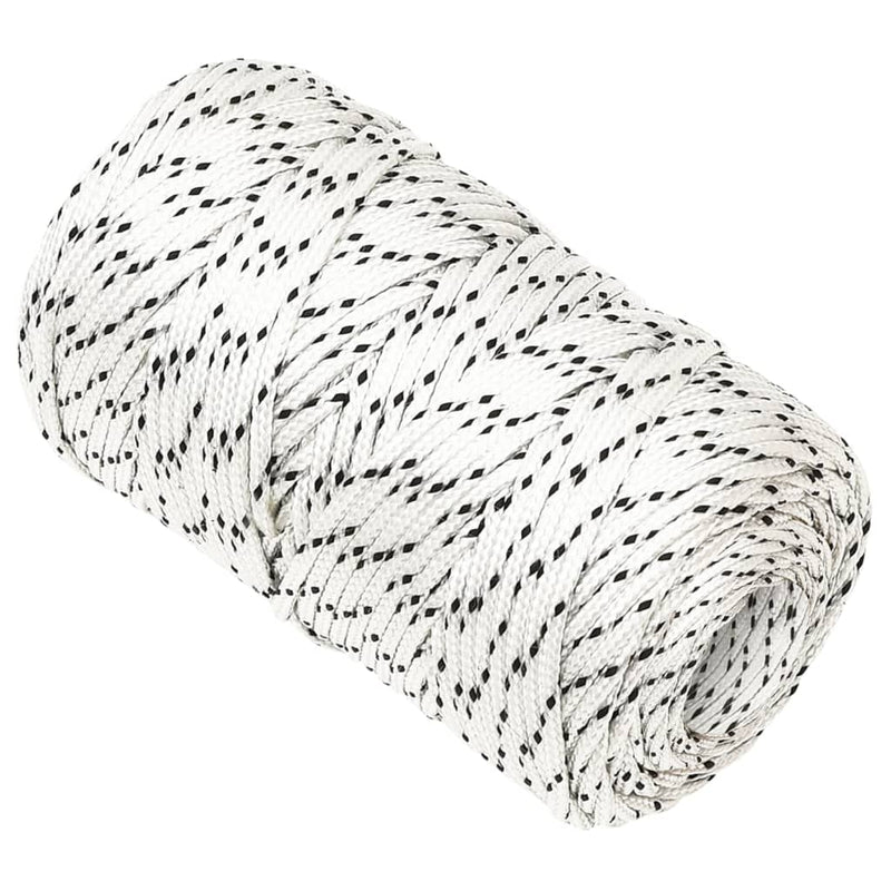 Load image into Gallery viewer, Vidaxl boottouw gevlochten 2 mmx100 m polyester wit