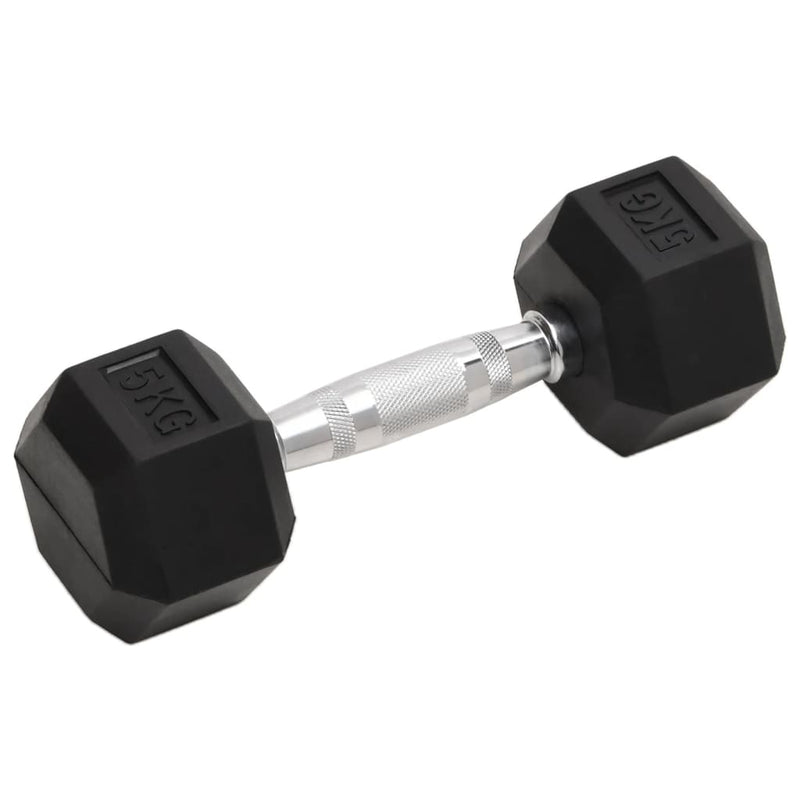 Load image into Gallery viewer, Vidaxl halters 2 st 10 kg totaal gietijzer