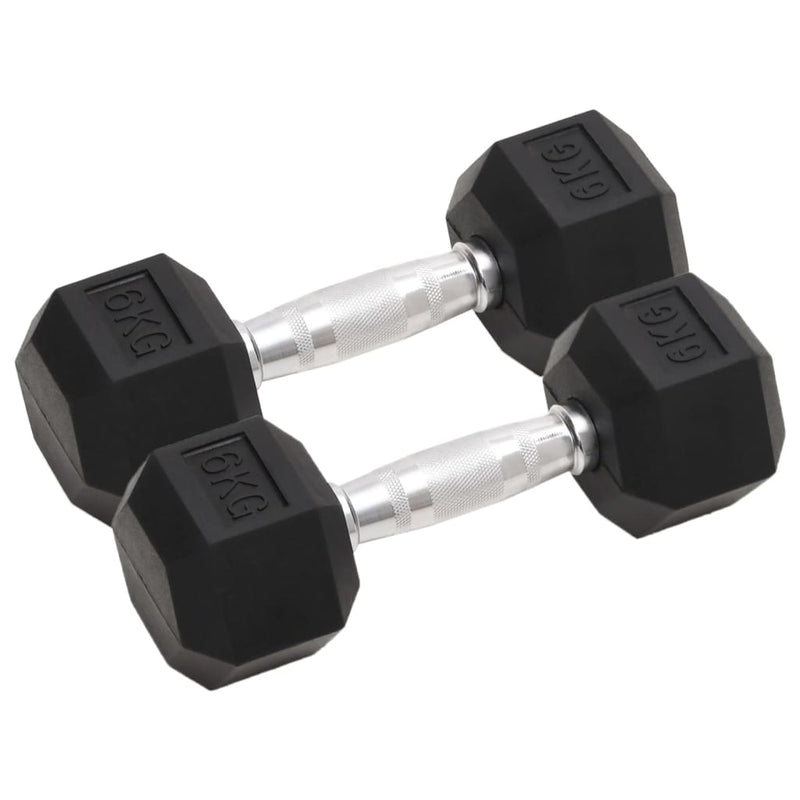 Load image into Gallery viewer, Vidaxl halters 2 st 12 kg totaal gietijzer