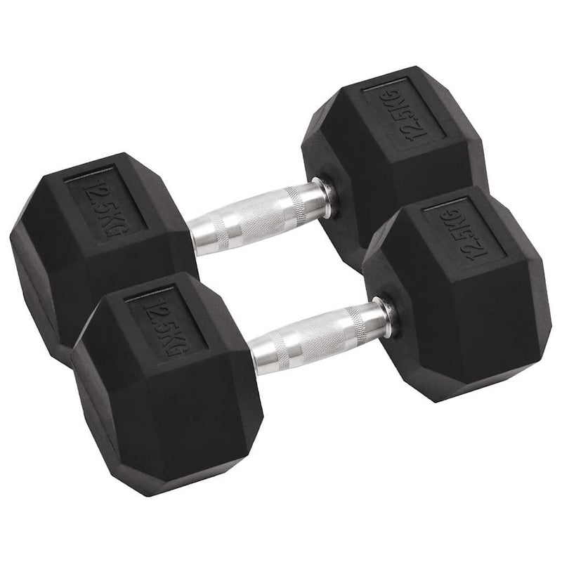 Load image into Gallery viewer, Vidaxl halters 2 st 25 kg totaal gietijzer