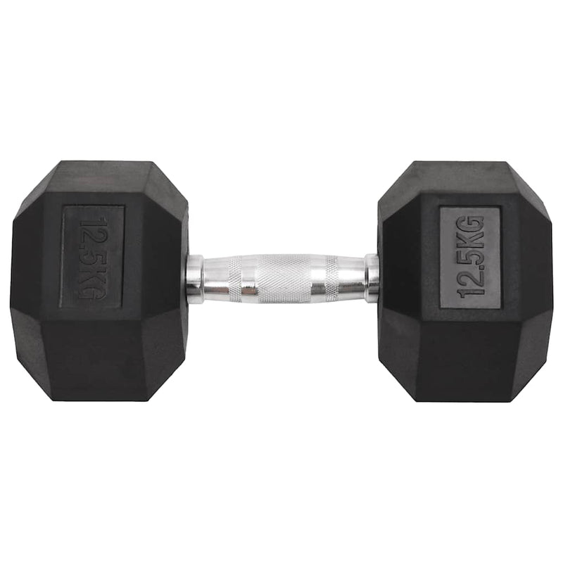 Load image into Gallery viewer, Vidaxl halters 2 st 25 kg totaal gietijzer