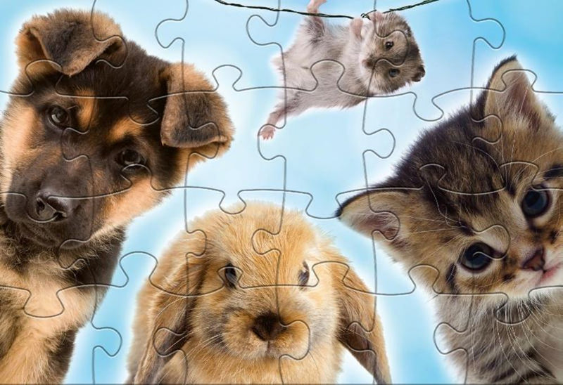 Afbeelding laden in galerijviewer, Rebo legpuzzel 2x24 stukjes - baby anima