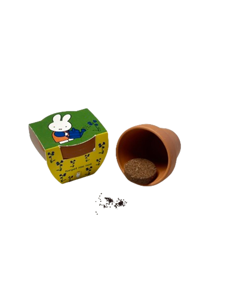 Chargez l'image dans la visionneuse de la galerie, Nijntje terracota pot vergeet mij niet.