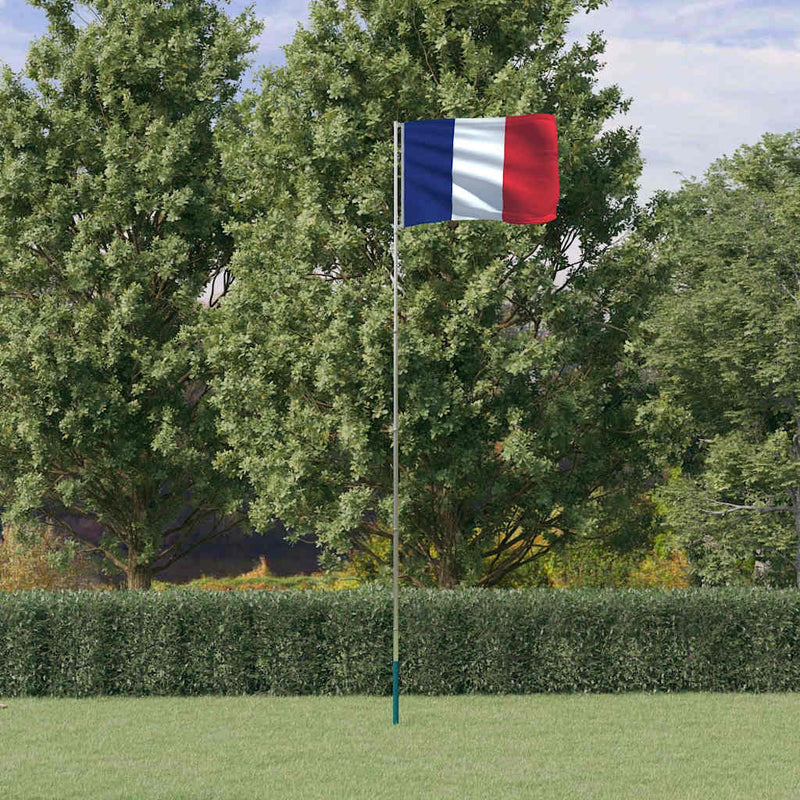 Load image into Gallery viewer, VidaXL Vlag met vlaggenmast Frankrijk 5,55 m aluminium