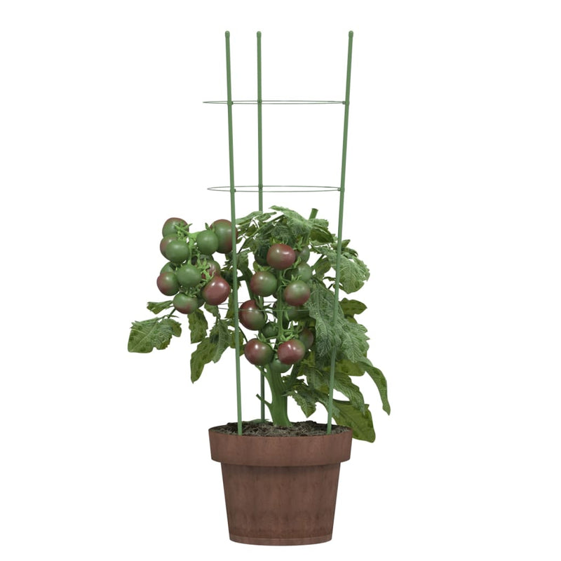Laden Sie das Bild in Galerie -Viewer, Vidaxl plantensteunen 5 st met 3 ringen 60 cm staal groen