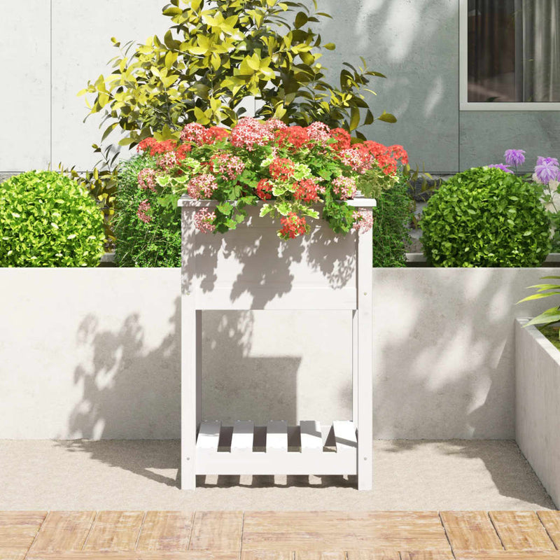 Load image into Gallery viewer, Vidaxl plantenbak met schap 54x54x81 cm massief grenenhout wit