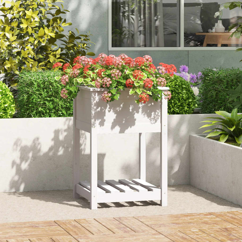 Load image into Gallery viewer, Vidaxl plantenbak met schap 54x54x81 cm massief grenenhout wit
