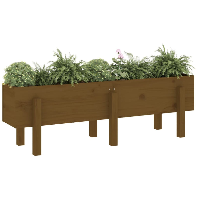 Cargue la imagen en el visor de la galería, VidaXL Plantenbak verhoogd 121x30x38 cm massief grenenhout honingbruin