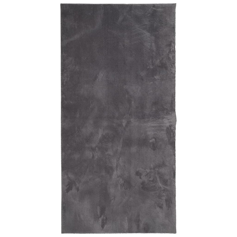 Load image into Gallery viewer, Vidaxl vloerkleed huarte laagpolig zacht wasbaar 100x200 cm antraciet