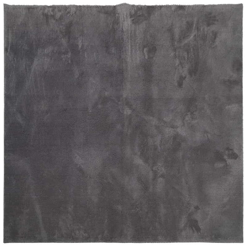 Load image into Gallery viewer, Vidaxl vloerkleed huarte laagpolig zacht wasbaar 160x160 cm antraciet