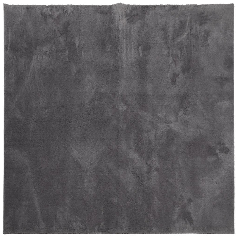 Load image into Gallery viewer, Vidaxl vloerkleed huarte laagpolig zacht wasbaar 200x200 cm antraciet