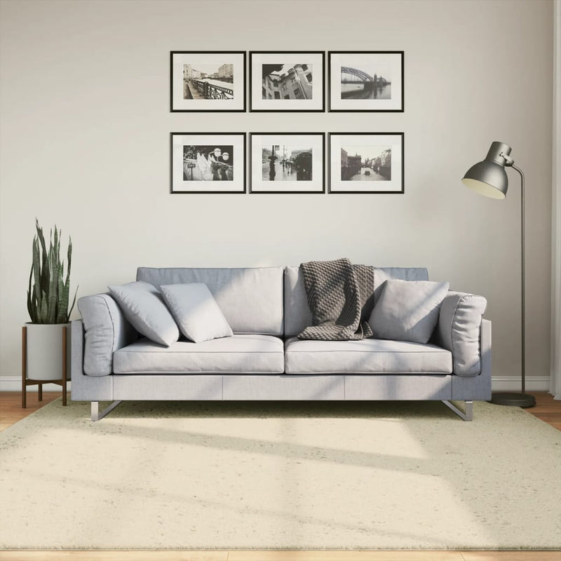 Load image into Gallery viewer, Vidaxl vloerkleed huarte laagpolig zacht wasbaar 200x200 cm crème
