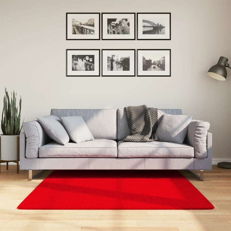 Load image into Gallery viewer, Vidaxl vloerkleed huarte laagpolig zacht wasbaar 120x120 cm rood