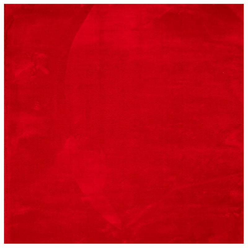 Chargez l'image dans la visionneuse de la galerie, Vidaxl vloerkleed huarte laagpolig zacht wasbaar 160x160 cm rood