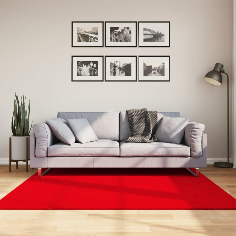 Chargez l'image dans la visionneuse de la galerie, Vidaxl vloerkleed huarte laagpolig zacht wasbaar 160x160 cm rood