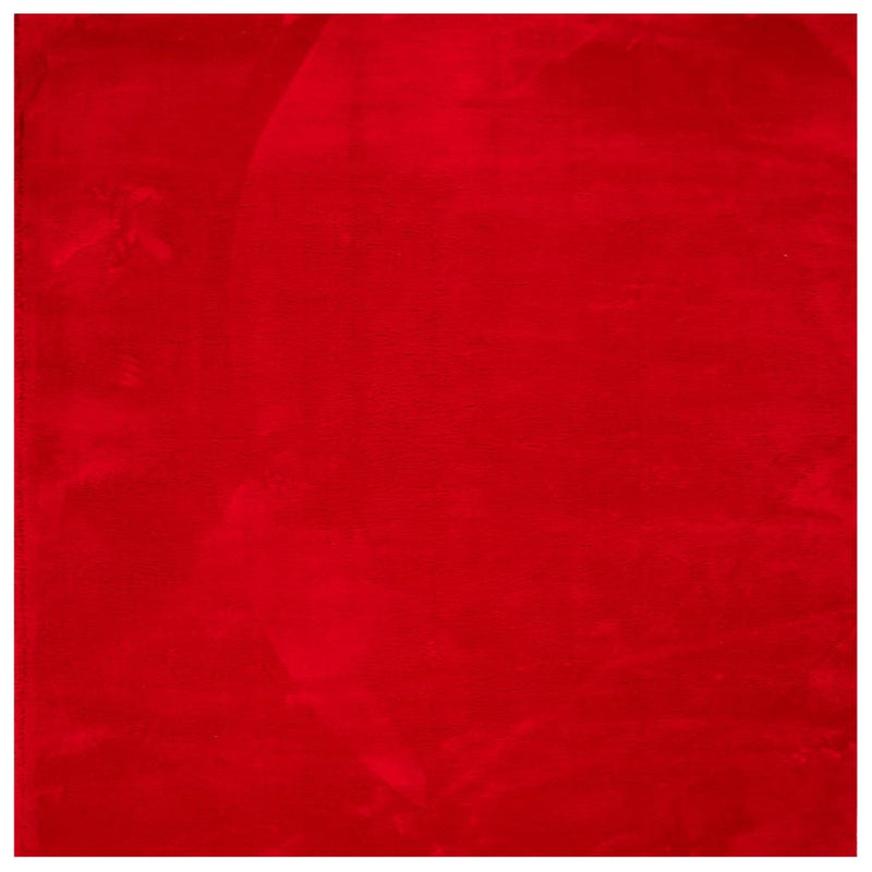 Load image into Gallery viewer, Vidaxl vloerkleed huarte laagpolig zacht wasbaar 200x200 cm rood