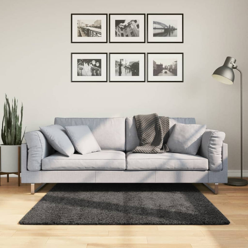 Laden Sie das Bild in Galerie -Viewer, VidaXL Vloerkleed PAMPLONA shaggy hoogpolig 120x120 cm antraciet