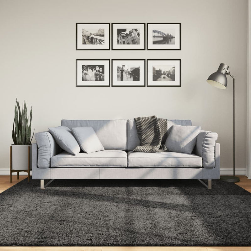 Load image into Gallery viewer, Vidaxl vloerkleed pamplona shaggy hoogpolig 200x200 cm antraciet