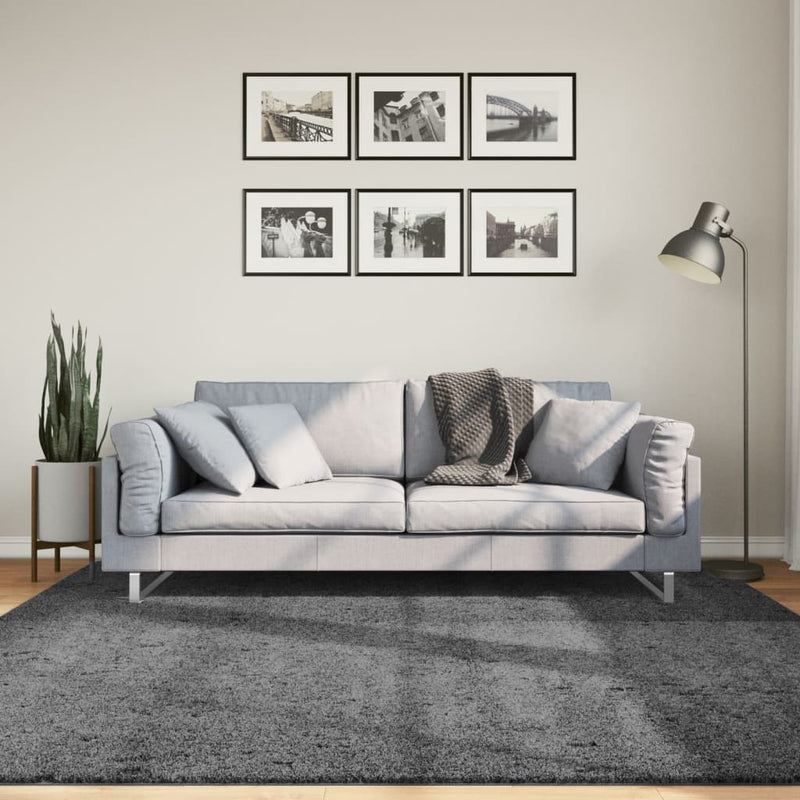 Afbeelding laden in galerijviewer, Vidaxl vloerkleed oviedo laagpolig 200x200 cm antracietkleurig