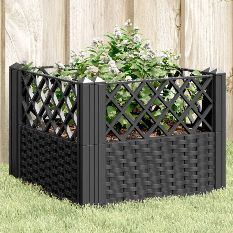 Load image into Gallery viewer, Vidaxl plantenbak met pinnen 43,5x43,5x43,5 cm polypropeen zwart