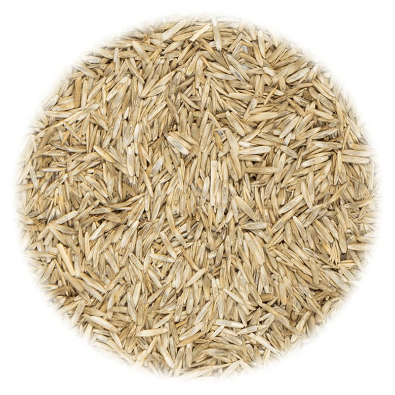 Load image into Gallery viewer, VidaXL Graszaad voor akker en weiland 10 kg