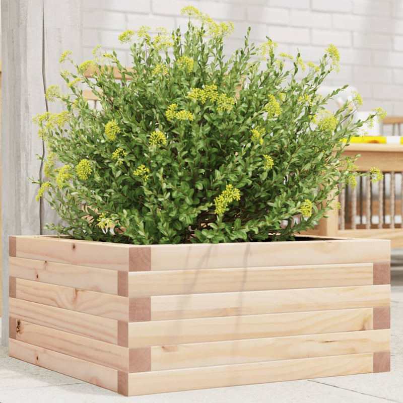 Load image into Gallery viewer, Vidaxl plantenbak 50x50x23 cm massief grenenhout