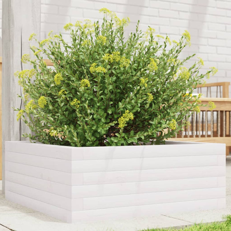 Load image into Gallery viewer, Vidaxl plantenbak 60x60x23 cm massief grenenhout wit
