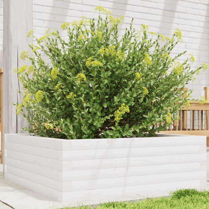 Load image into Gallery viewer, Vidaxl plantenbak 70x70x23 cm massief grenenhout wit